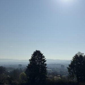 Luxuriöse Penthäuser am Brasselsberg ab Plan - 50% reserviert!