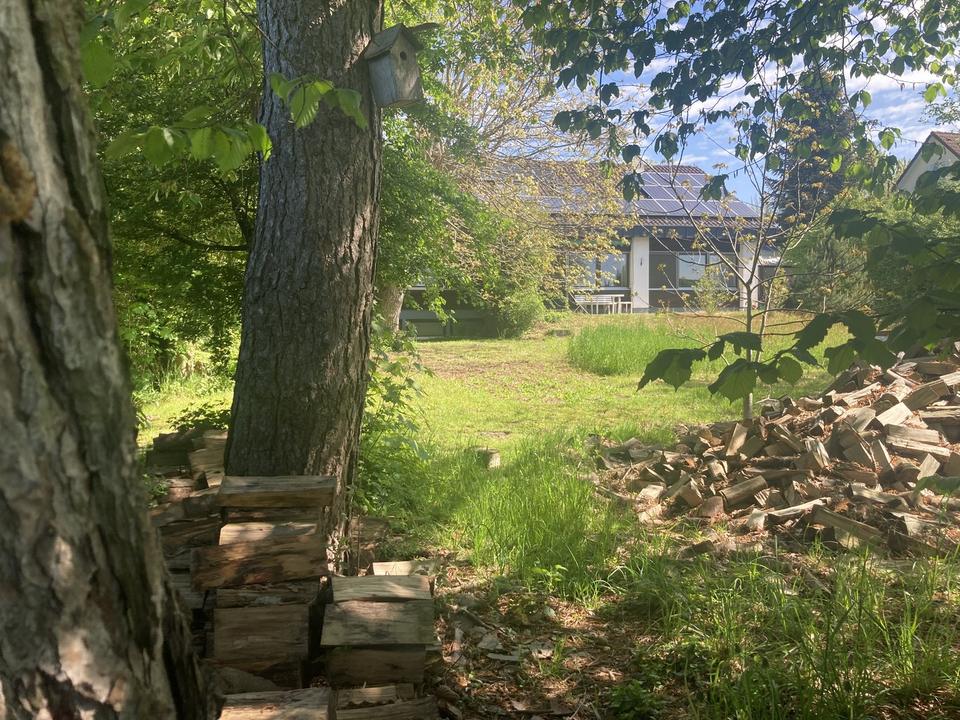 Das letzte seiner Art – Einfamilienhaus im Grünen – Bild 7