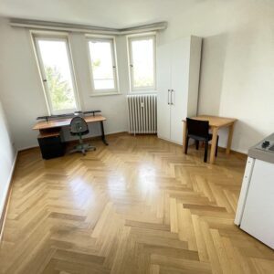 Ostviertel, An der Schillerwiese, Helles 1-Zimmer-Appartement, Teilmöbliert, 485€ warm, HL E3