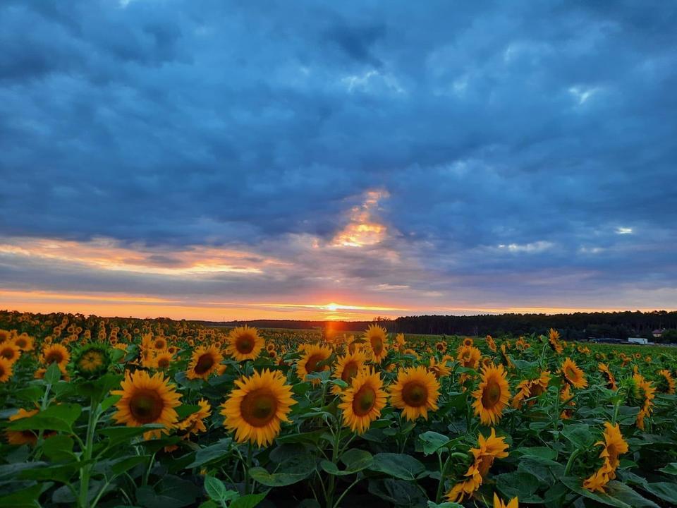 Provisionsfrei: Modernes Landhaus mit 8 Zimmern, 20 min südlich von Potsdam und Berlin – Bild 4