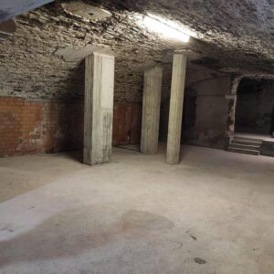 Gewölbe voller Möglichkeiten – 250 m² Raum für Ihre Visionen im Herzen Rottenburgs