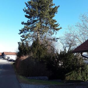 Architektenhaus mit unverbaubarer Weitsicht