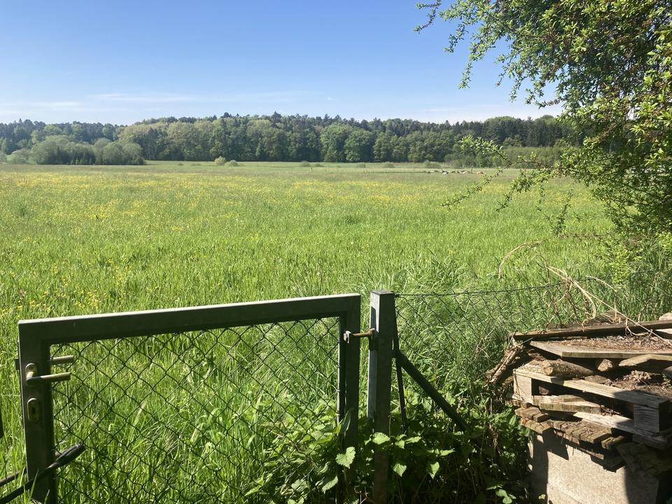 Das letzte seiner Art – Einfamilienhaus im Grünen – Bild 4