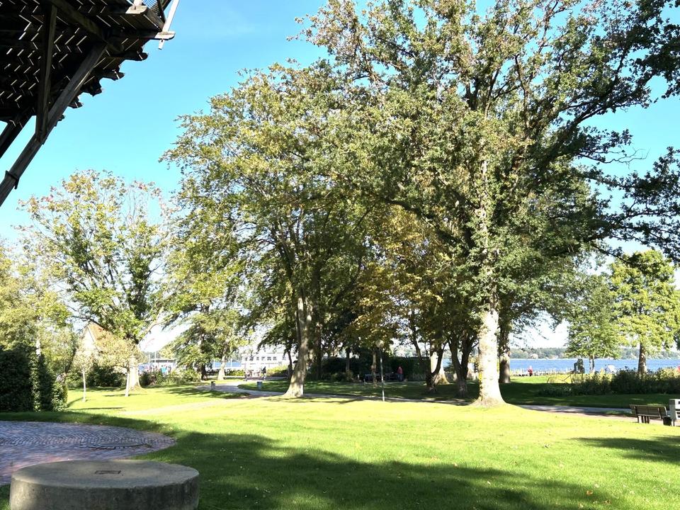 Wunderschöne Wohnung in Bad Zwischenahn – Bild 12