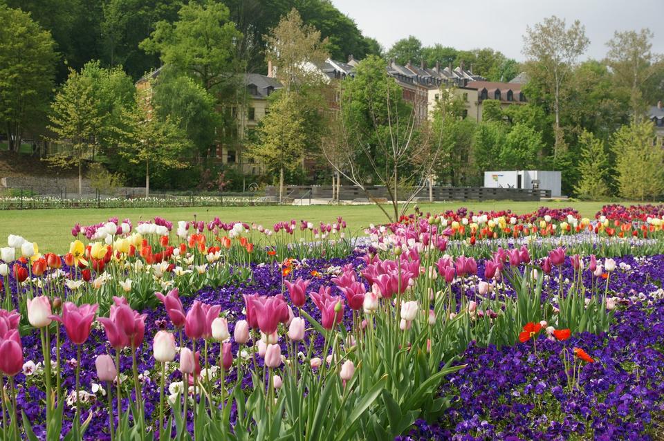 Attraktives MFH mit 7 WE topsaniert am Park der Generationen in 08468 Reichenbach – Bild 5