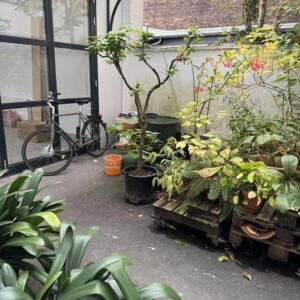 Schöne 2-Zimmerwohnung im EG - WG geeignet -provisonsfrei !