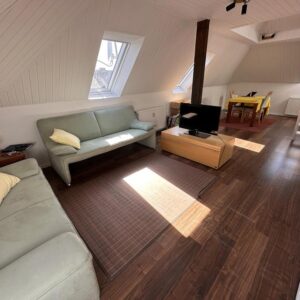 Möblierte Wohnung, gemütliches Altbau-Dachgeschoss Studio
