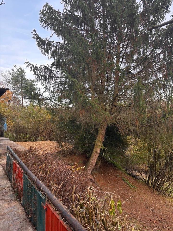 Wo Ruhe und Weitsicht Zuhause sind-Grundstück im Dürrbachtal – Bild 10