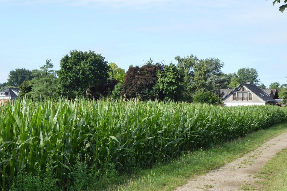 Ruhiges Wohnen im Grünen – Bild 12