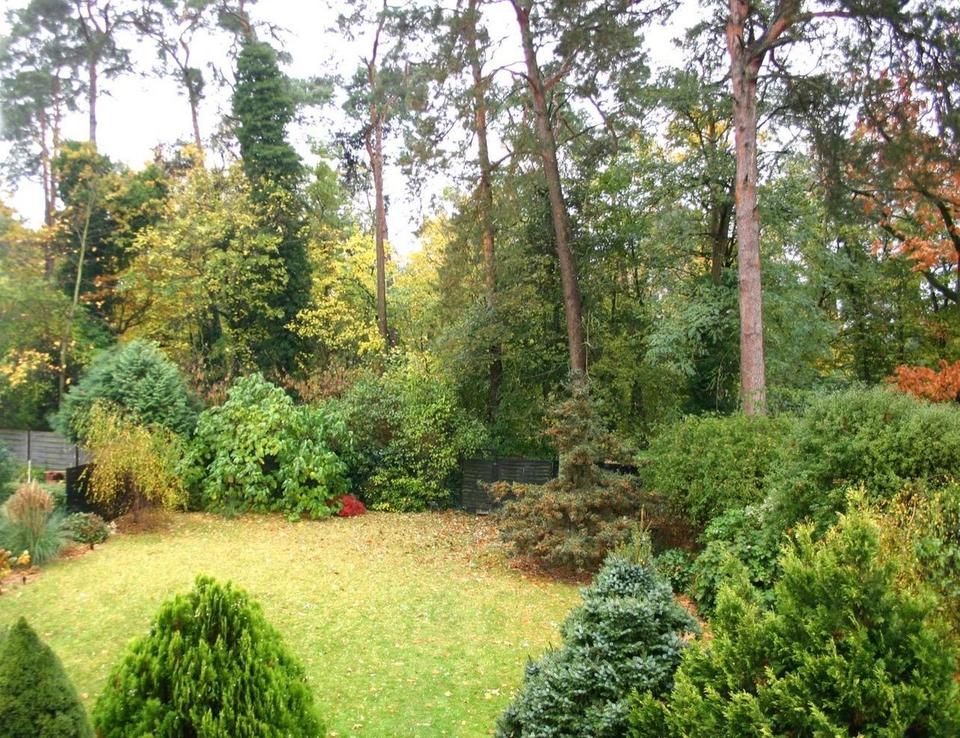 Wohnen am Wald – Einfamilienhaus mit Garten, Kamin & Homeoffice in Wildau – Bild 9