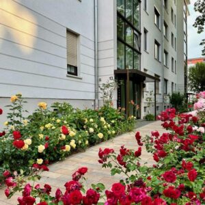 Ost- und Westsonne, Parkett geölt, ökologisch saniert