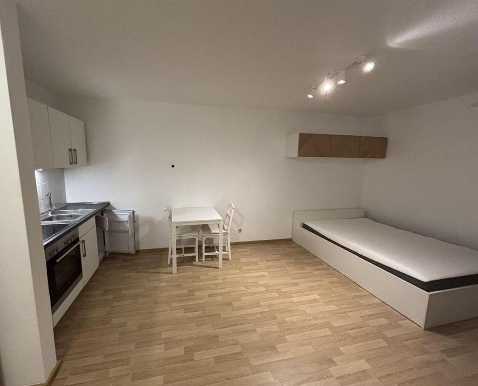 1 Zi Apartment voll möbliert, EBK, West-Balkon, TG (frei ab sofort) – Bild 5