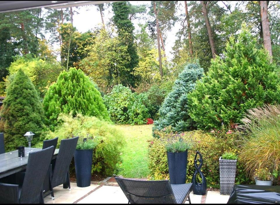 Wohnen am Wald – Einfamilienhaus mit Garten, Kamin & Homeoffice in Wildau – Bild 7