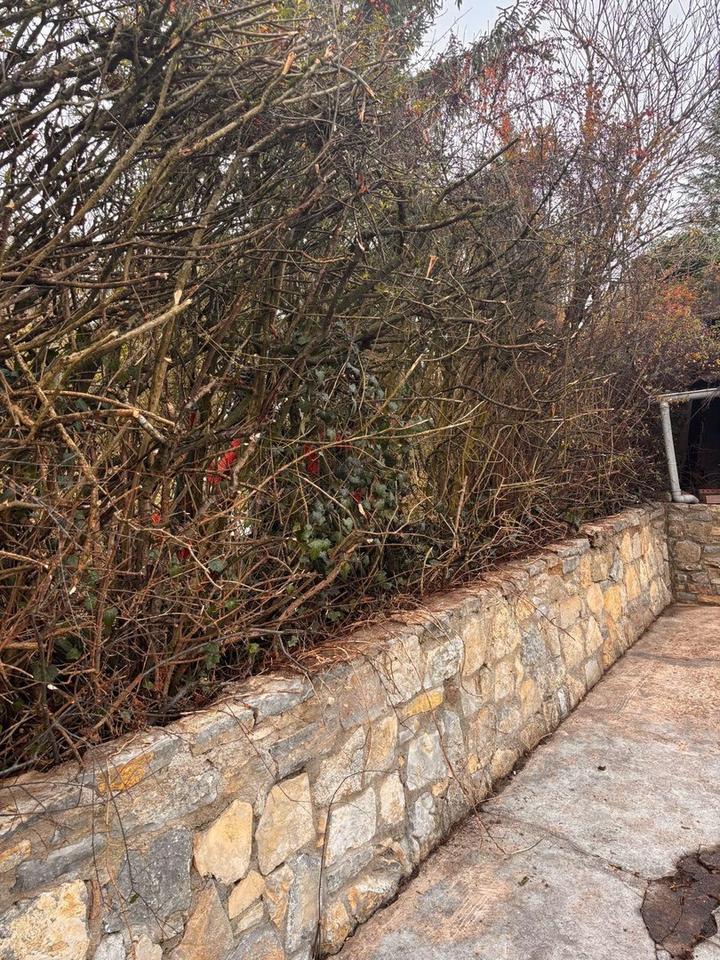 Wo Ruhe und Weitsicht Zuhause sind-Grundstück im Dürrbachtal – Bild 8