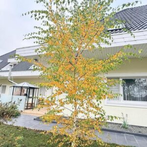 Landhaus. Nicht nur eine Sachwertanlage