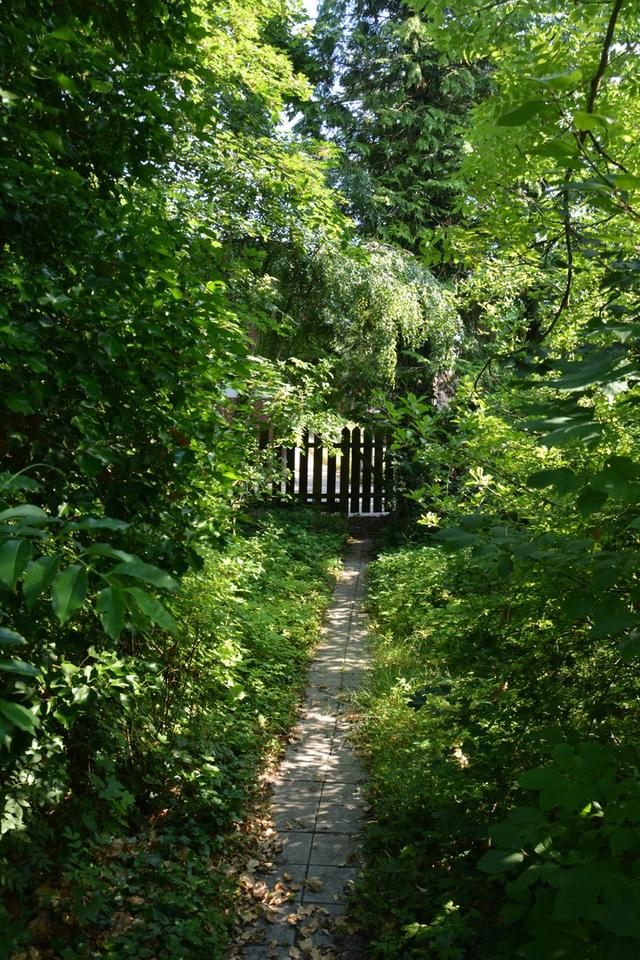 *Provisionsfrei!* Wohnhaus/Geschäftshaus im Zentrum von Lastrup – Bild 9