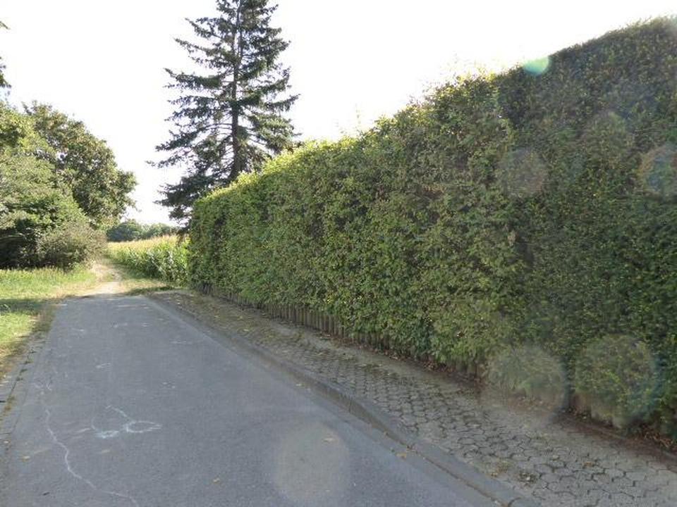 Ruhiges Wohnen im Grünen – Bild 10