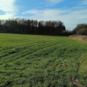 GRÜNLAND BLÖNRIED 1,7ha (Grünfläche Wiese Weide Ausgleichsfläche) Landkreis Ravensburg
