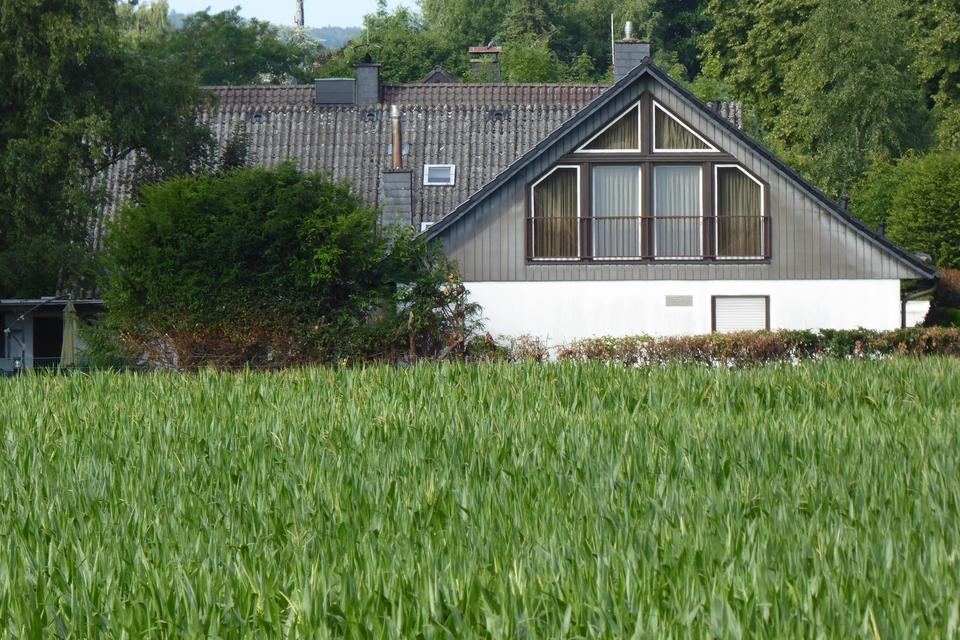 Ruhiges Wohnen im Grünen – Bild 6