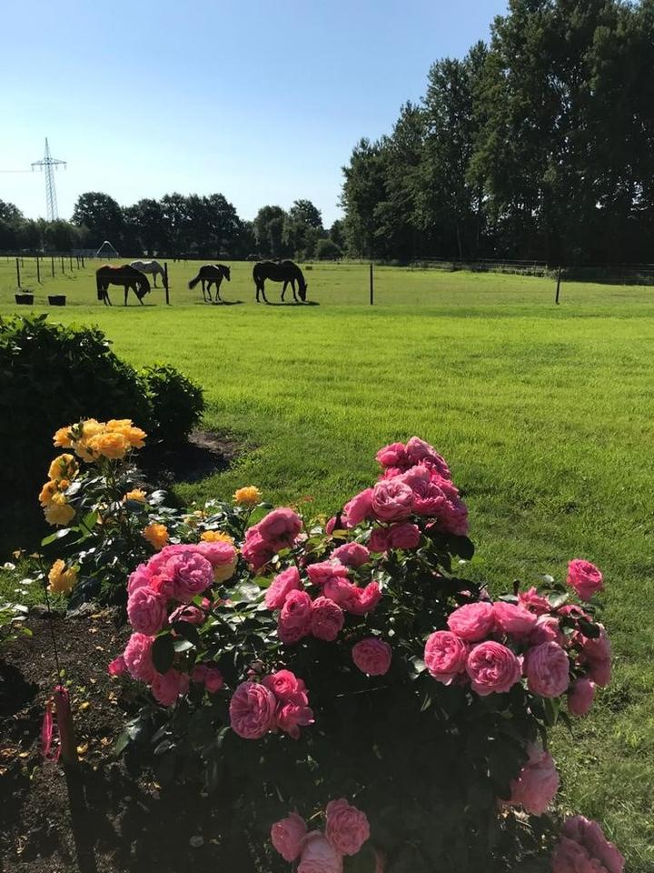 Wohnen, wo andere Urlaub machen (NUR Singlewohnung) – Bild 5