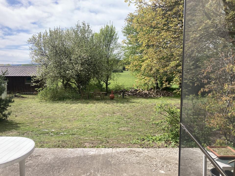 Das letzte seiner Art – Einfamilienhaus im Grünen – Bild 2