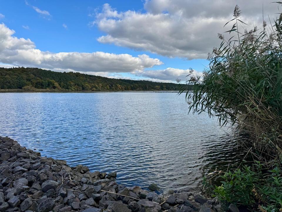 Traumhafte Haushälfte an der Elbe von Privat* Neubau* – Bild 8