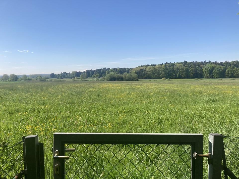 Das letzte seiner Art – Einfamilienhaus im Grünen – Bild 3