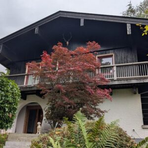 Künstler-Chalet in ruhiger Hanglage mit Restbaupotenzial