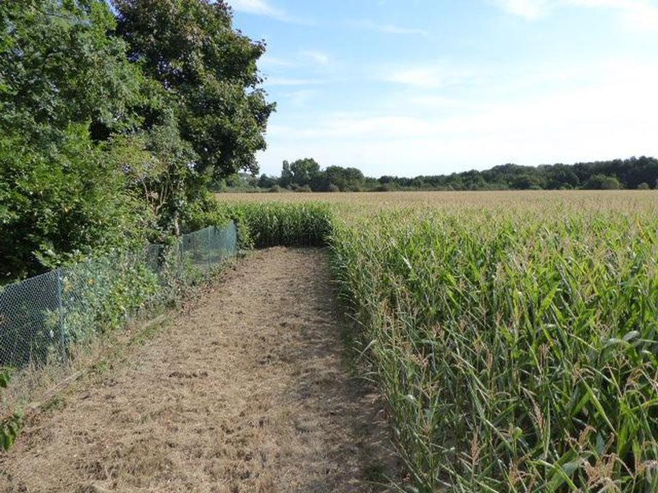 Ruhiges Wohnen im Grünen – Bild 13