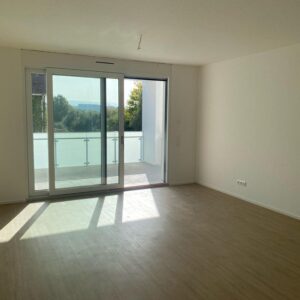 Neubau: schöne 2,5-Zimmer-Wohnung mit Hochwertiger EBK und Balkon in Fahrnau