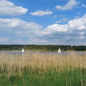 Parkähnliches Grundstück mit B-Plan am Ufer des Hohennauener Sees, fußläufig z. Golfresort Semlin