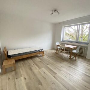 Helle, gut geschnittene 1-Zimmer-Wohnung mit Pantryküche