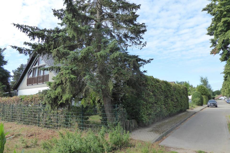 Ruhiges Wohnen im Grünen – Bild 9