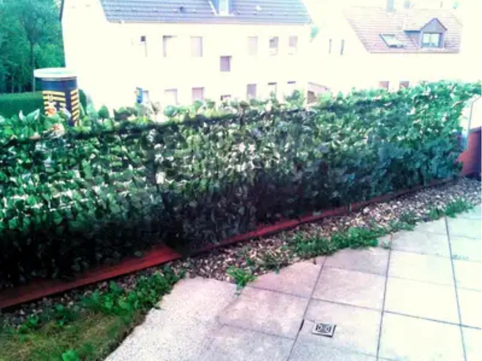 Moderne 2,5-Zimmer-Wohnung mit Einbauküche, Dachterrasse & TG-Stellplatz – Bild 4