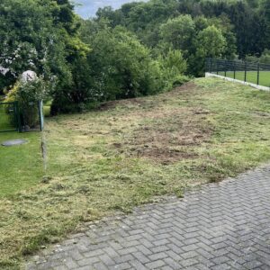 572 m² Sonnengrundstück in 53819 Neunkirchen-Seelscheid OT Seelscheid