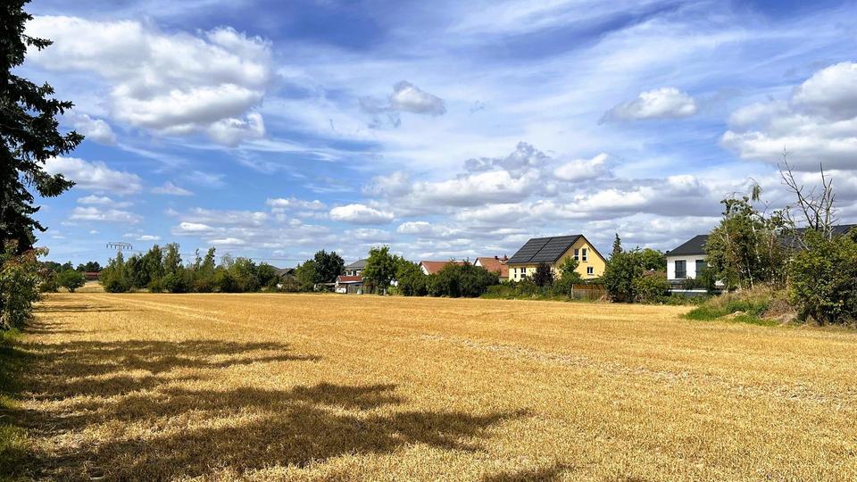 Ruhe mit Blick über Felder: Exklusives wohngesundes Plusenergie-Doppelhaus, S-Bahn fußläufig – Bild 2
