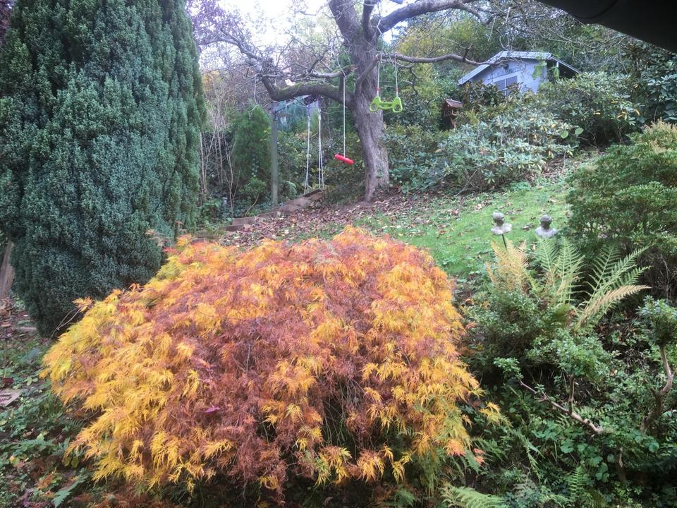 Romantisches Landhaus -ggf. mit zus. Bebauungsmöglichkeit- in Haibach- Grünmorsbach – Bild 21