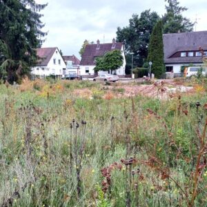 Baugrundstück in ruhiger, durchgrünter Lage*positiver Bauvorbescheid für Doppelhaus*provisionsfrei