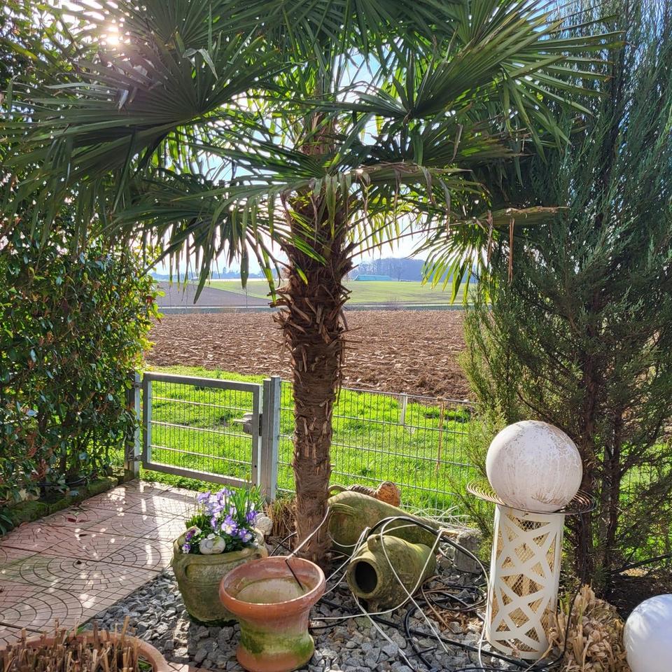 Wohnung mit direktem Feld Zugang – Bild 21