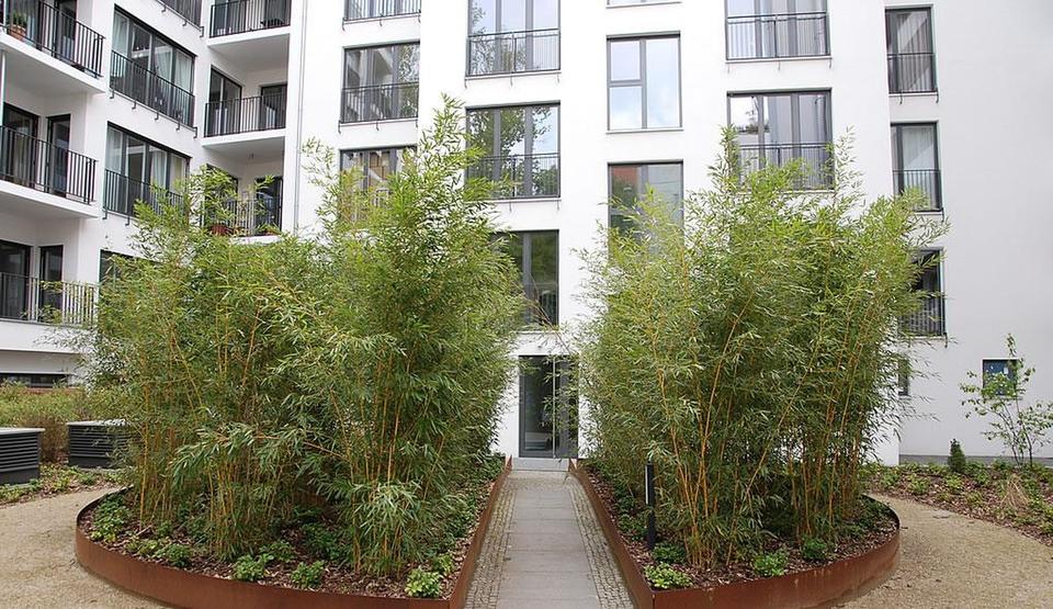 Neubau Kudamm • Olivaer Platz • MÖBLIERT • EBK • HWR • Loggia • Gäste-WC • 3 m Decke – Bild 2