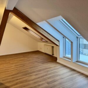 Sanierte 2 Zi-Wohnung in City-Lage | neue EBK, über den Dächern Aachens..