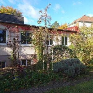 Kleines Gewerbe in Dresden Blasewitz