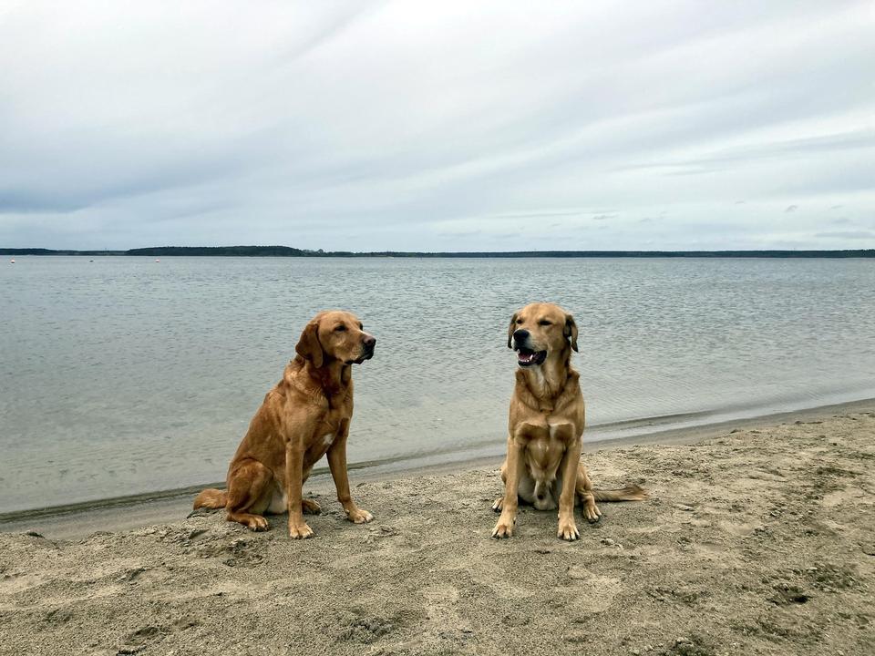 Neubau-Ferienhaus, Seeblick, 1. Reihe, Anlageobjekt! – Bild 20