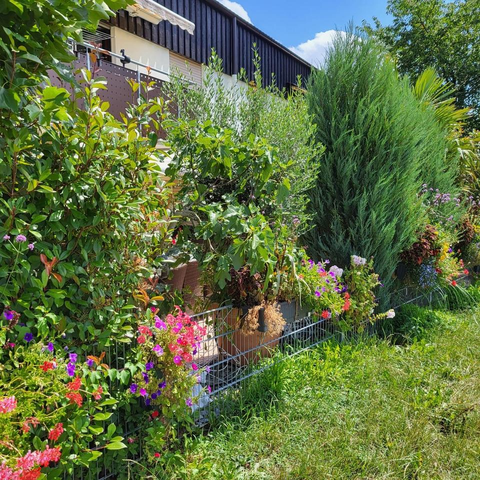 Wohnung mit direktem Feld Zugang – Bild 23