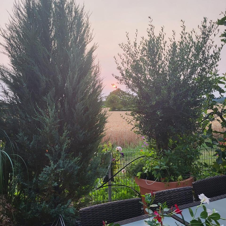 Wohnung mit direktem Feld Zugang – Bild 15