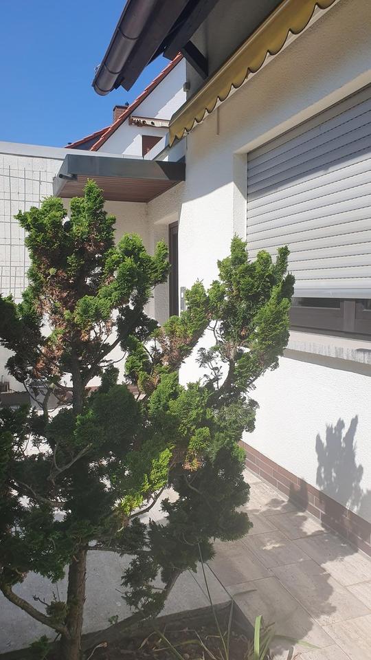 Traumhaus zu vermieten in bester Lage – Bild 2