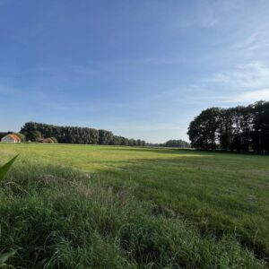Haus im Grünen, Bad Rothenfelde, Versmold zu vermieten