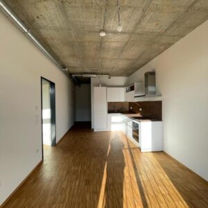 Stilvolle Industriewohnung im Frankfurter Ostend zu vermieten (4.4)