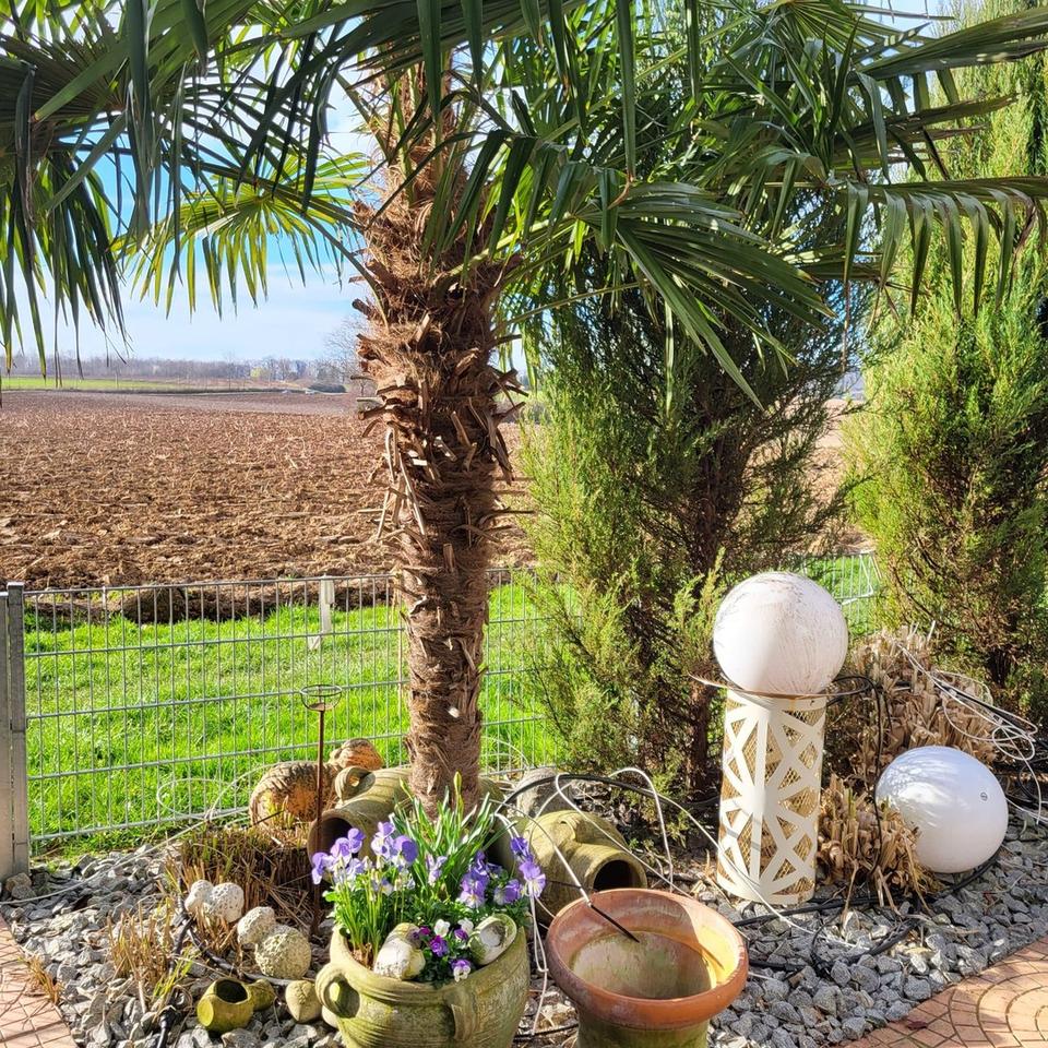 Wohnung mit direktem Feld Zugang – Bild 20