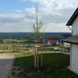 Exklusive Doppelhaushälfte in Essenheim – Wohnen auf höchstem Niveau mit Weitblick ELW möglich